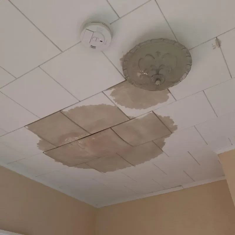 Ceiling Water Damage Repair in Claude, TX